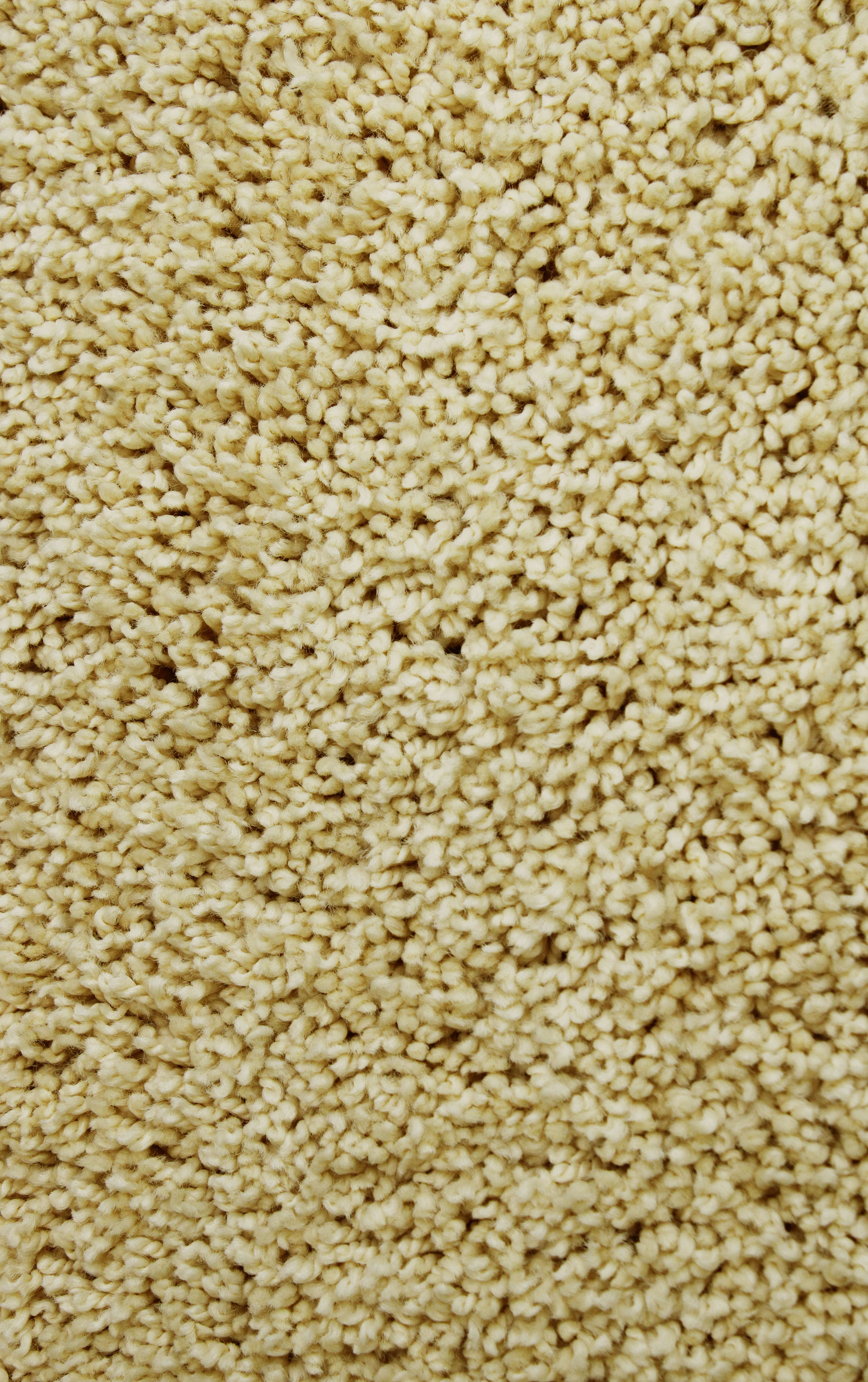 Carpet Tile Shag Cream Vanilla 24" x 24" 60 Oz. 